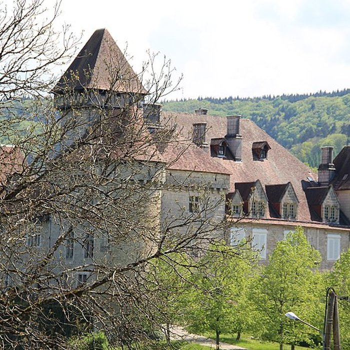 Photo de Château de Cléron
