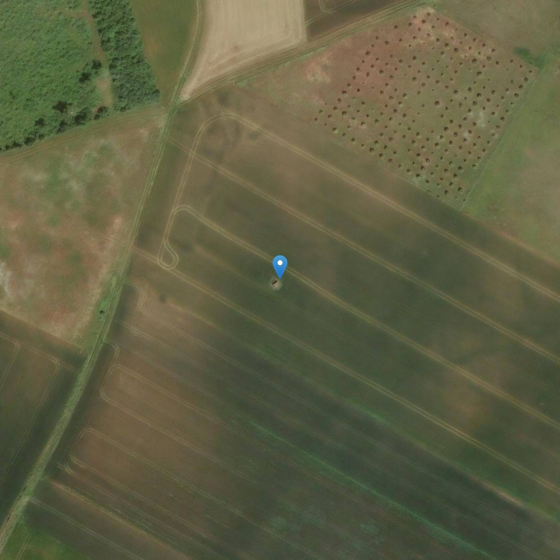 Photo de Dolmen dit La Petite Pierre Levée