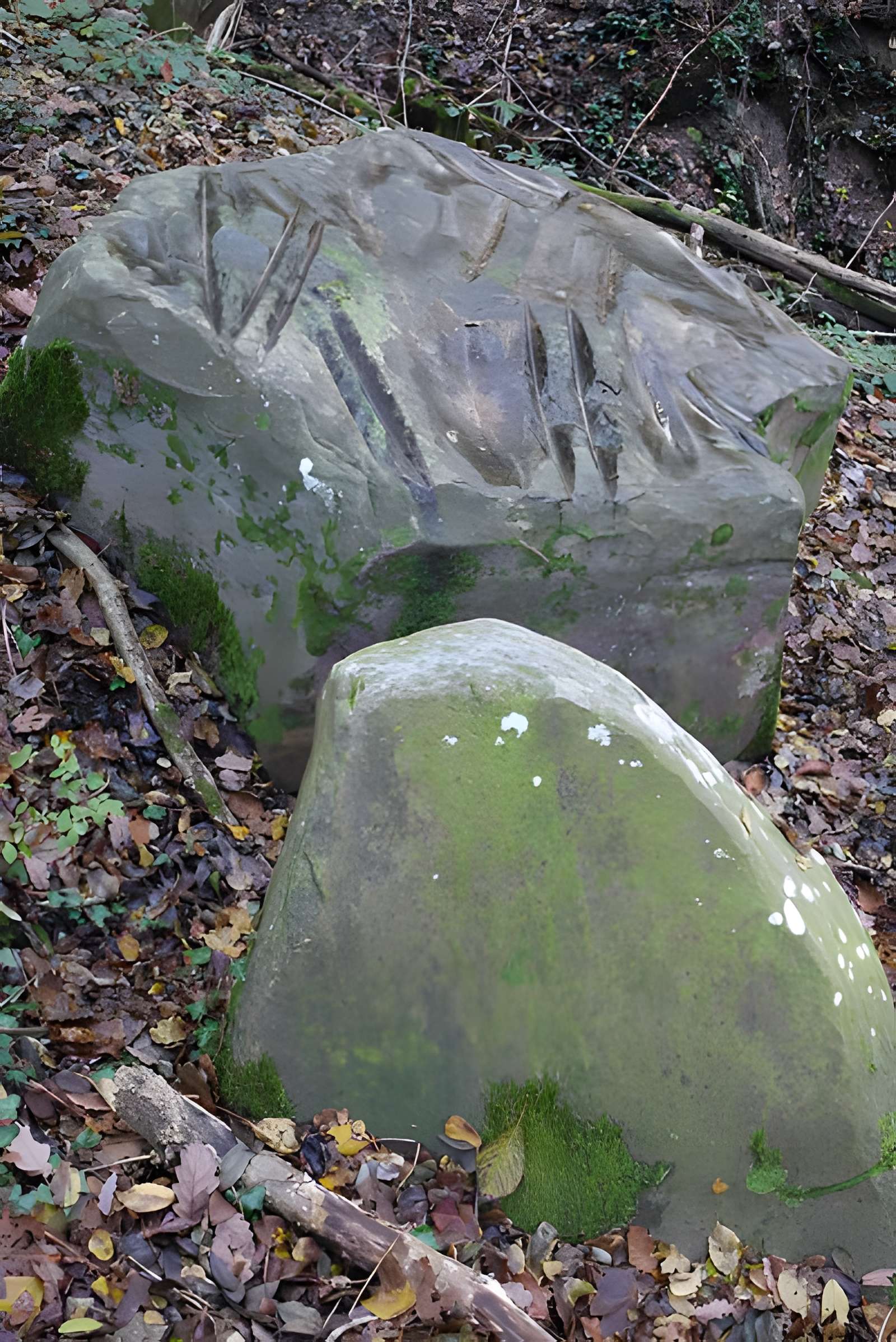 Polissoir de Mézy-Moulins 