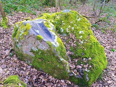 Photo de Polissoir des Fainéants de Noé