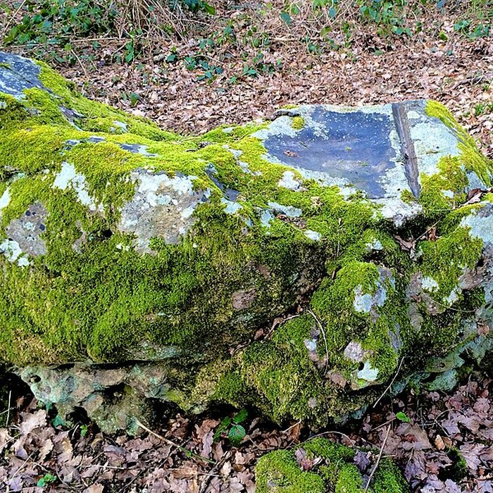 Photo de Polissoir des Fainéants de Noé