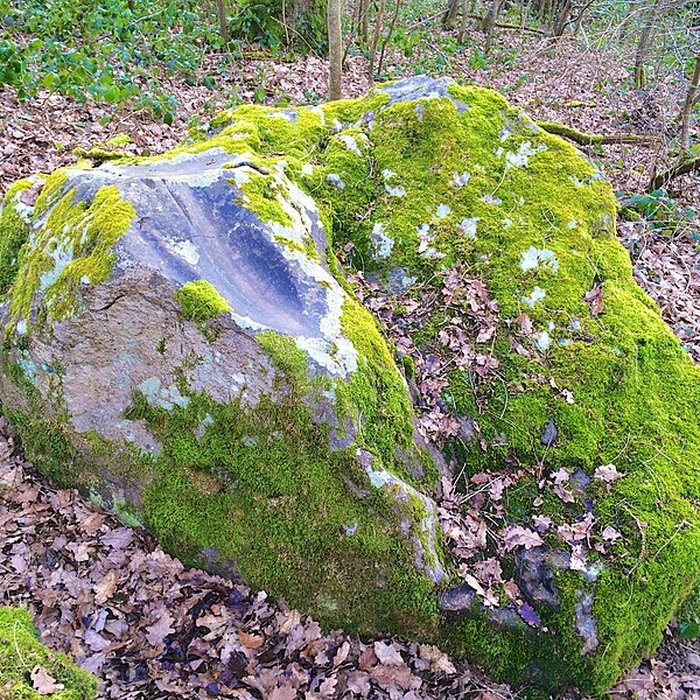 Photo de Polissoir des Fainéants de Noé