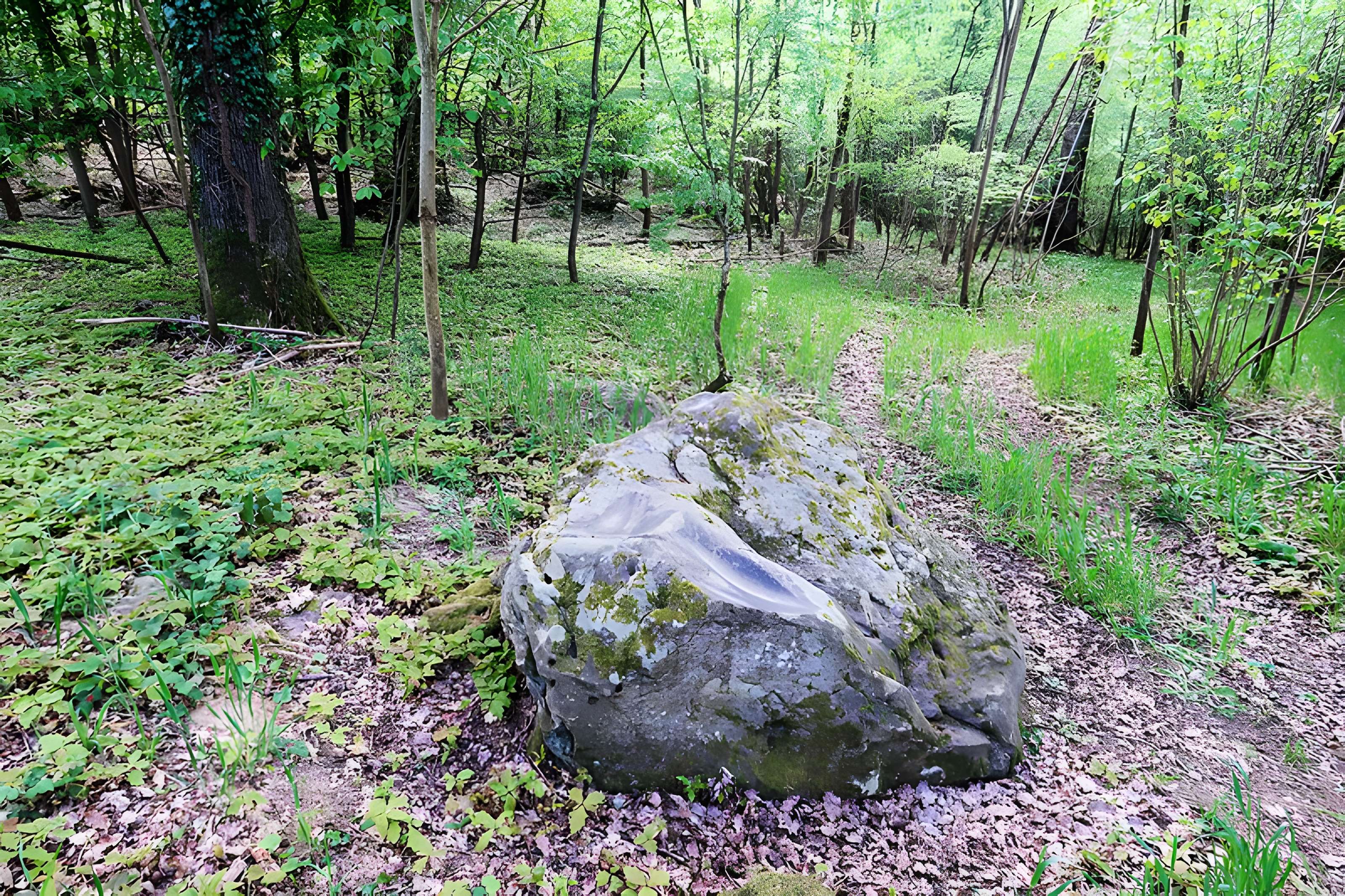 Polissoir des Fainéants de Noé