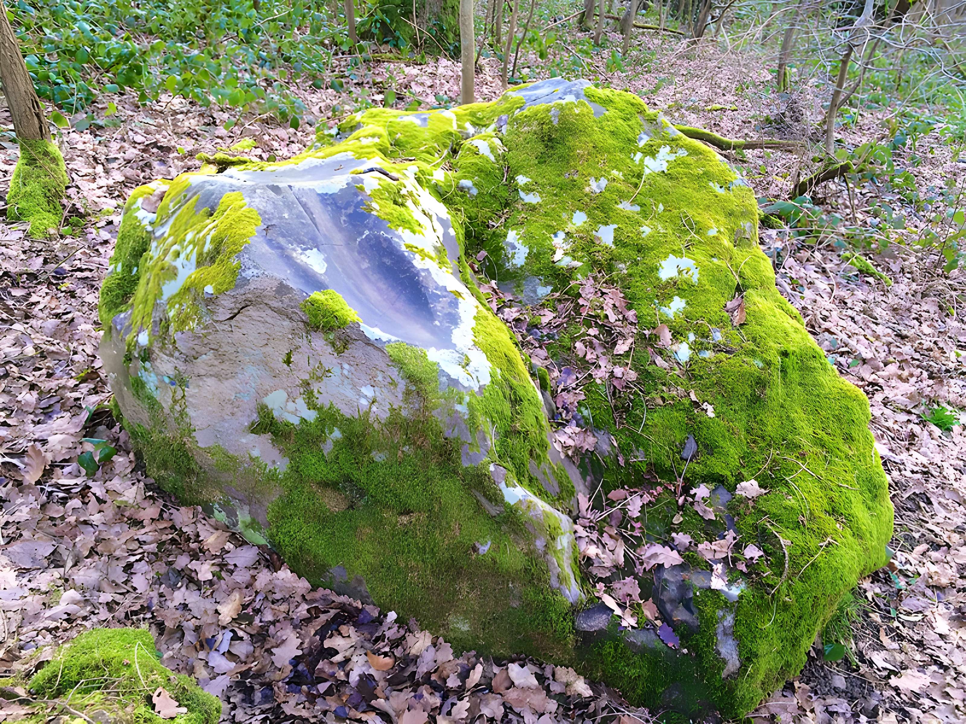 Polissoir des Fainéants de Noé