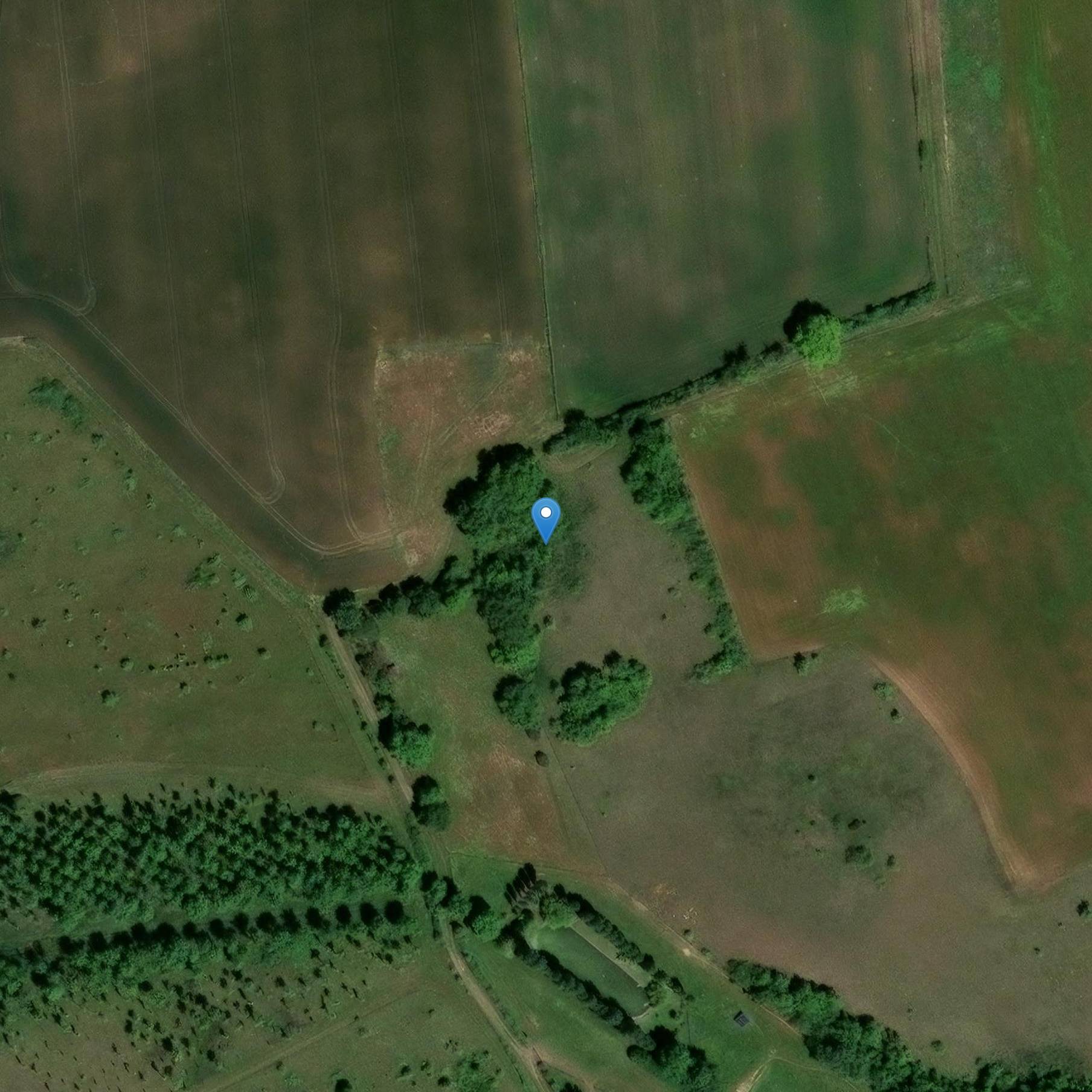 Photo de Dolmen de la Bassière I