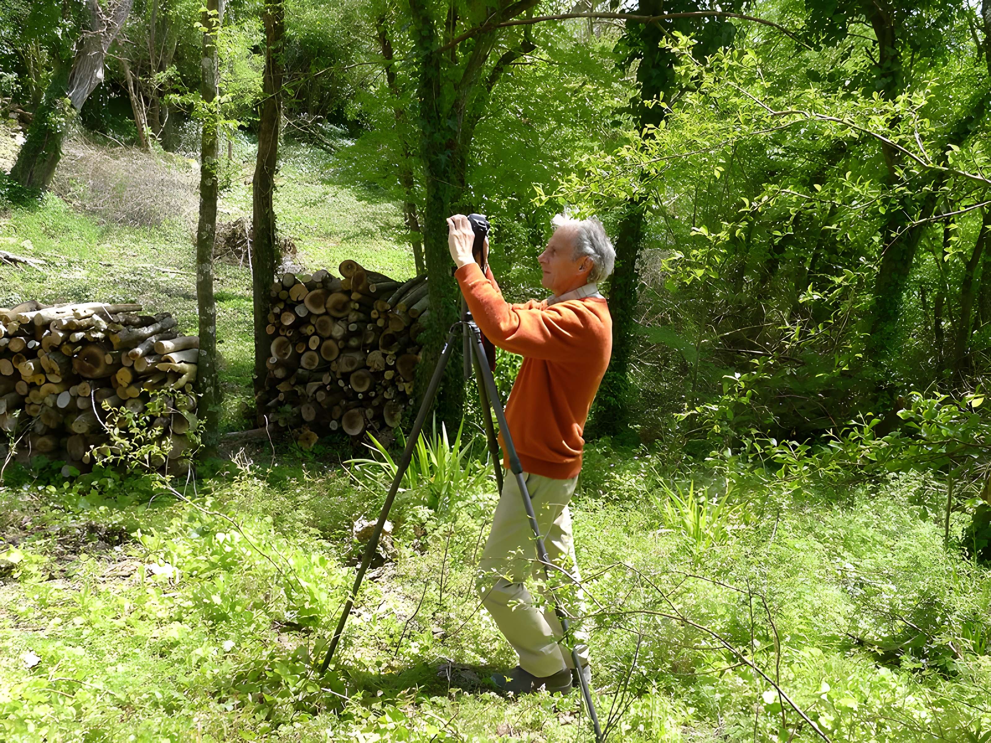 Château de Marmande