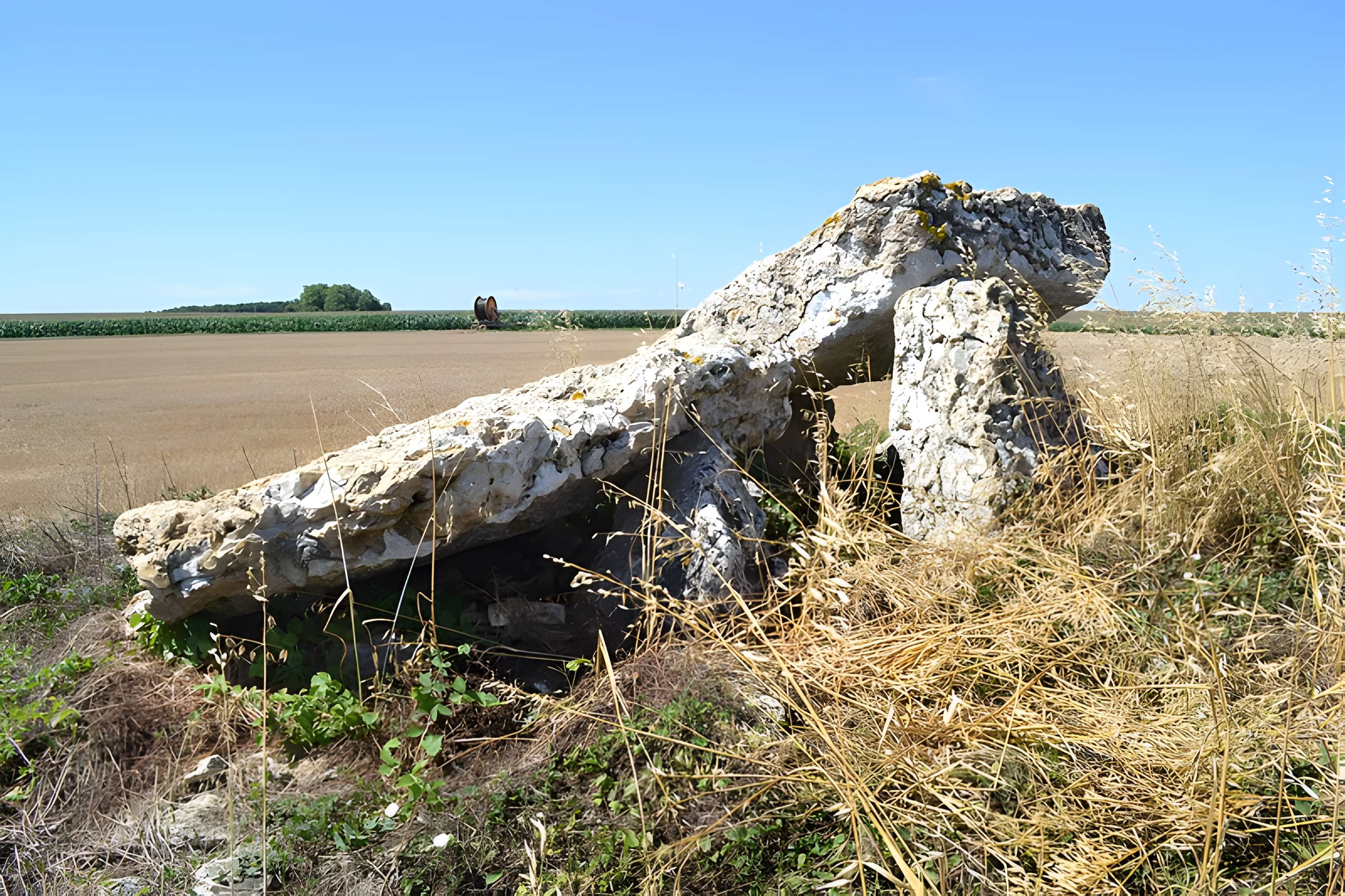 Dolmen dit Pierre Levée de Massigny