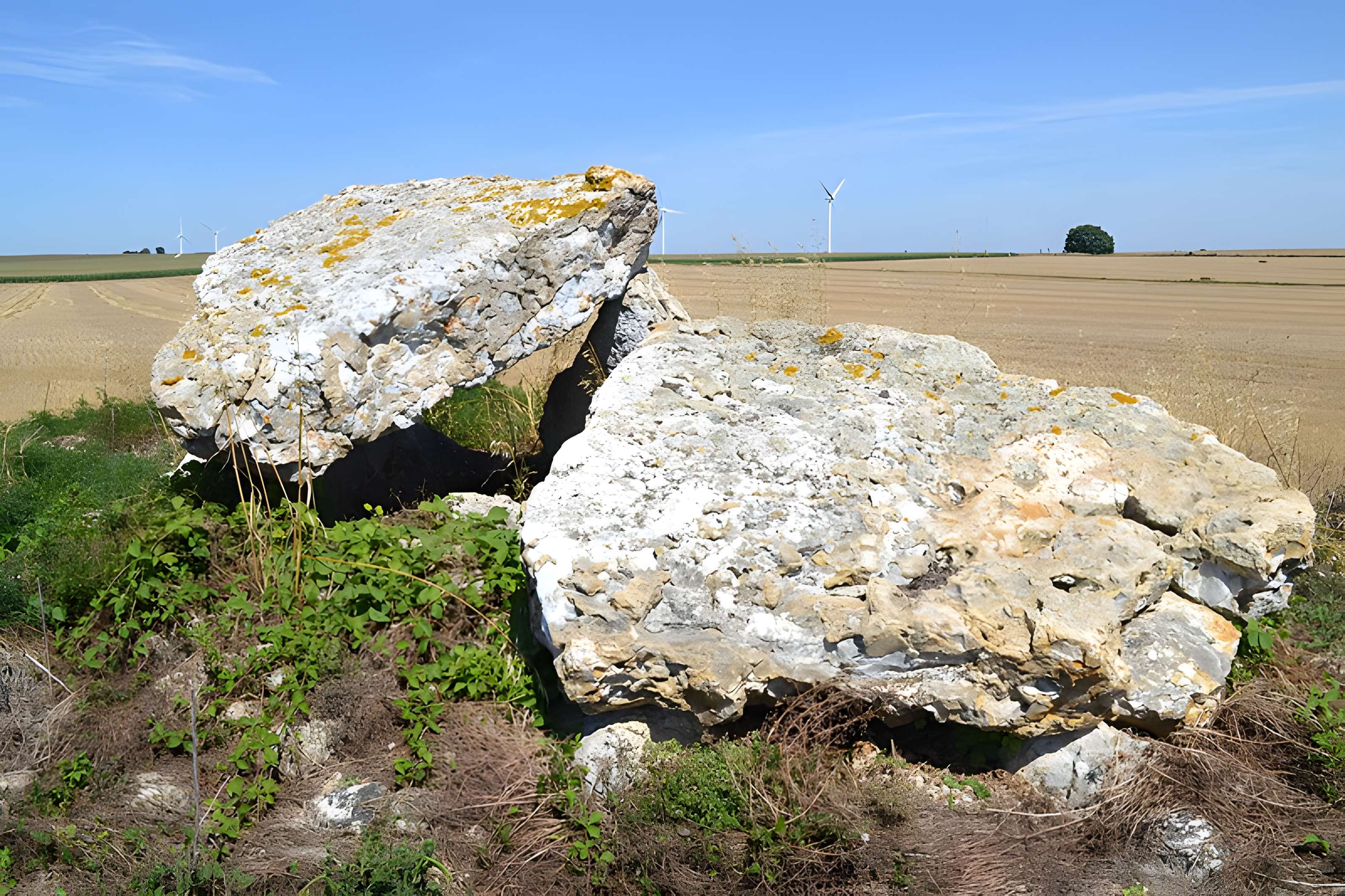 Dolmen dit Pierre Levée de Massigny