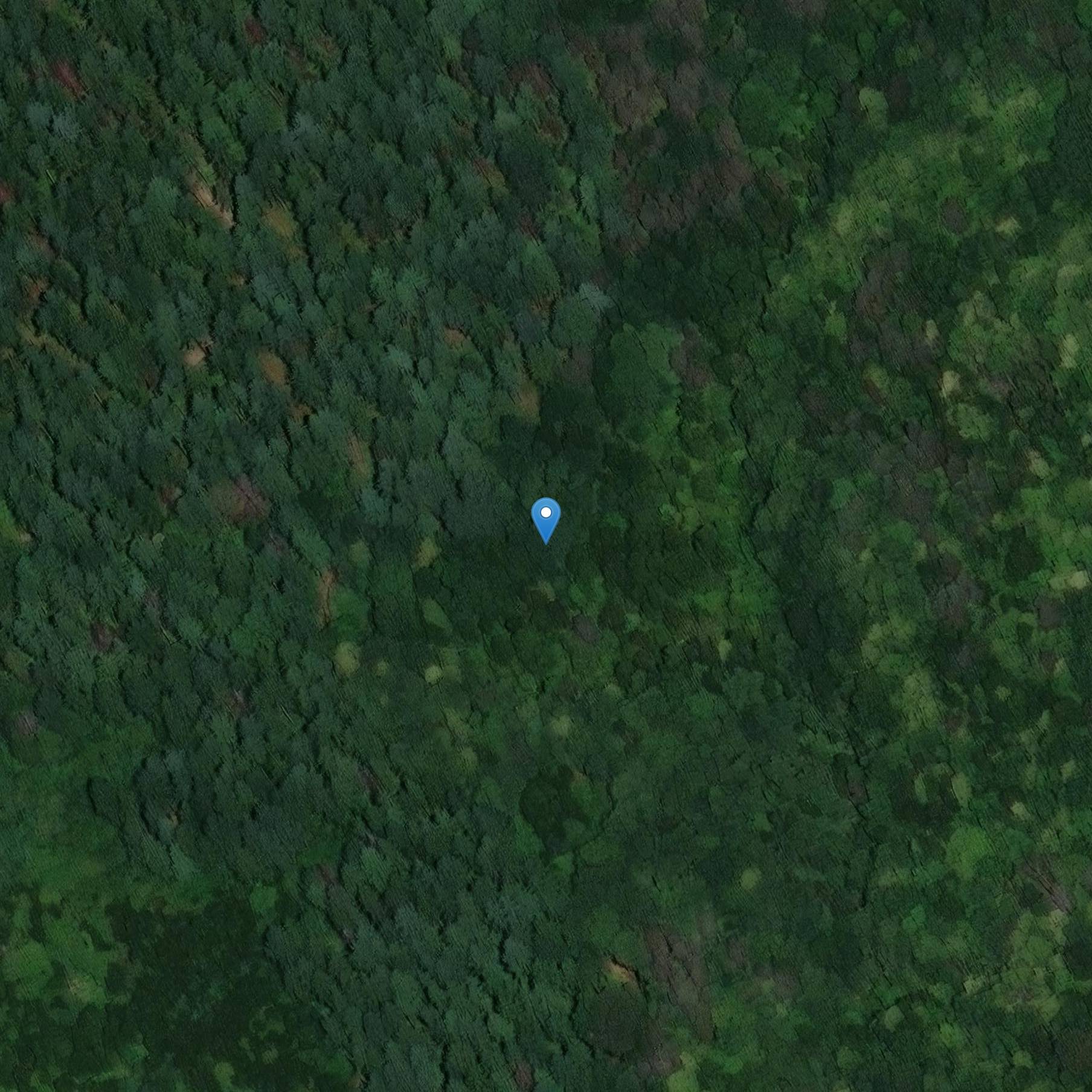 Photo de Terreno incinta