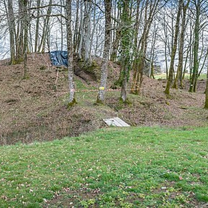 Photo de Motte castrale et fossé de Puy Archer, dit Châteauvieux