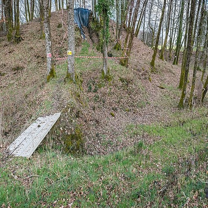 Photo de Motte castrale et fossé de Puy Archer, dit Châteauvieux