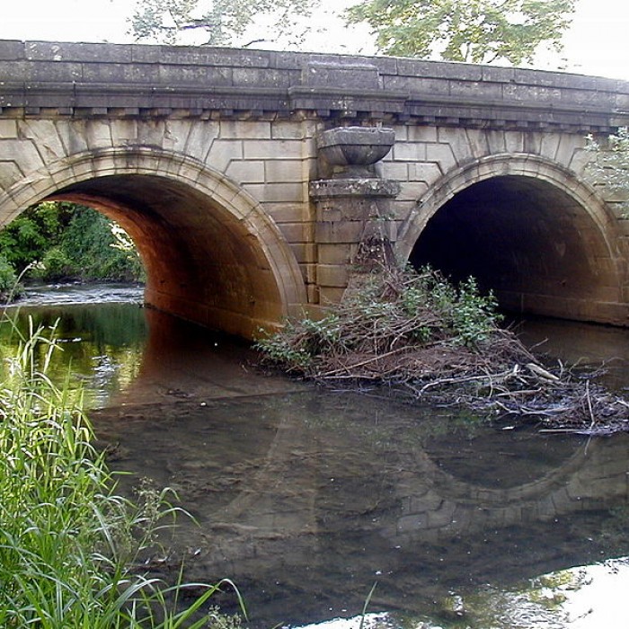 Photo de Pont de la Thalie à Châtenoy-le-Royal