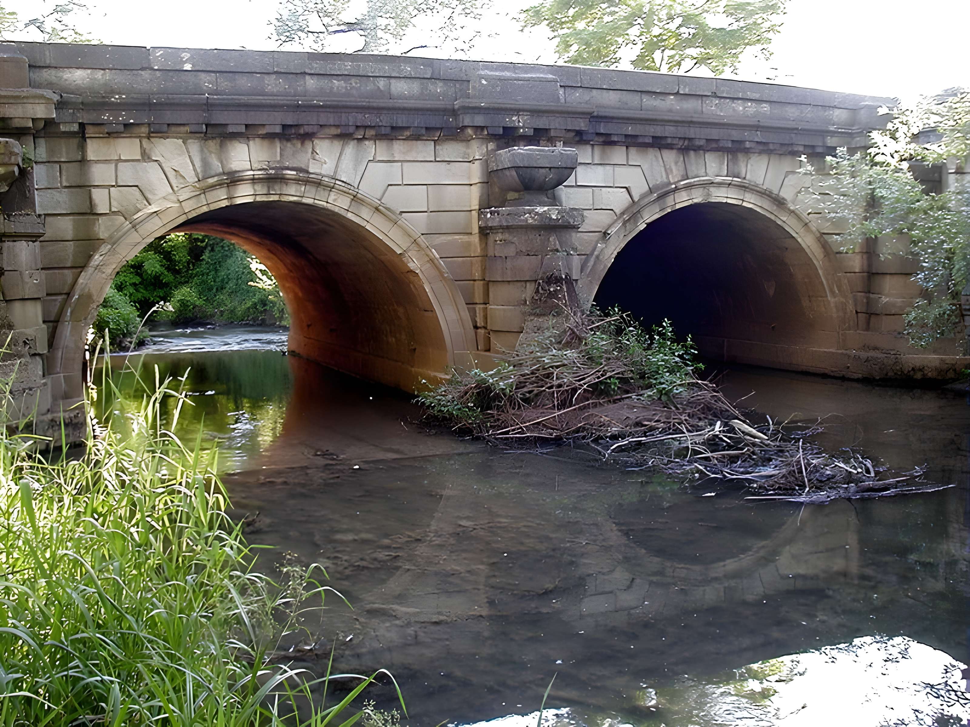Pont de la Thalie à Châtenoy-le-Royal 