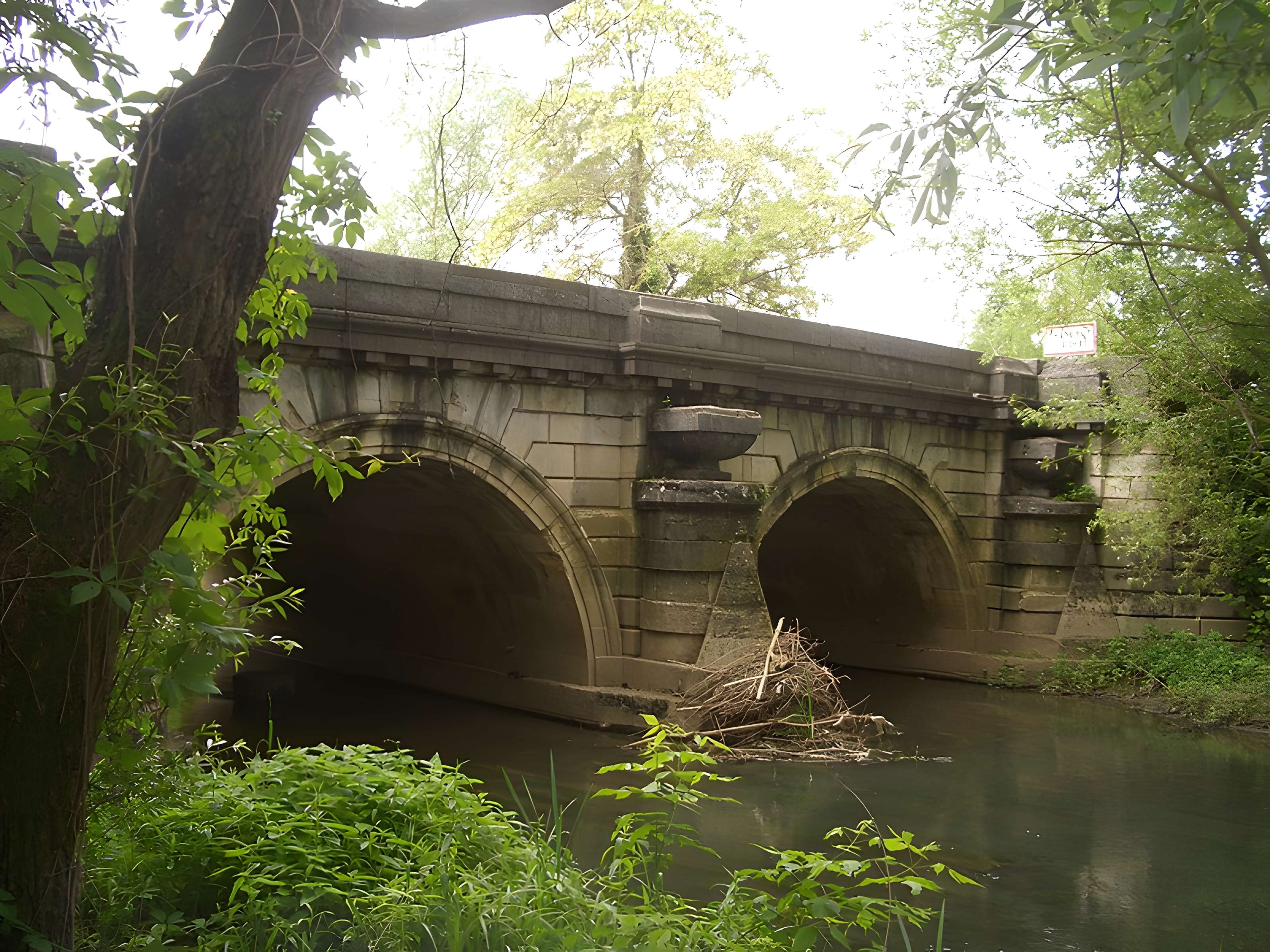 Pont de la Thalie à Châtenoy-le-Royal