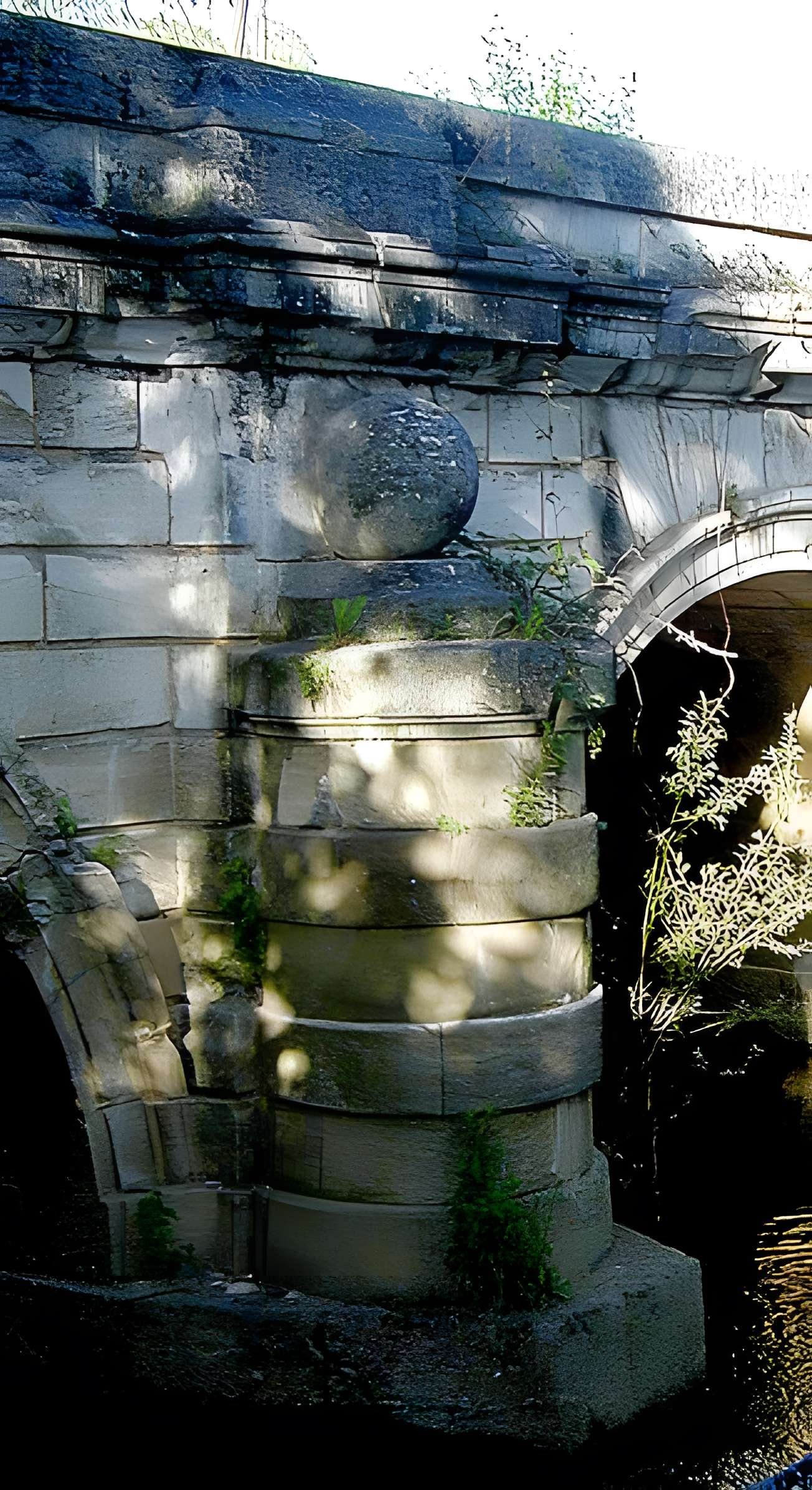 Pont de la Thalie à Châtenoy-le-Royal
