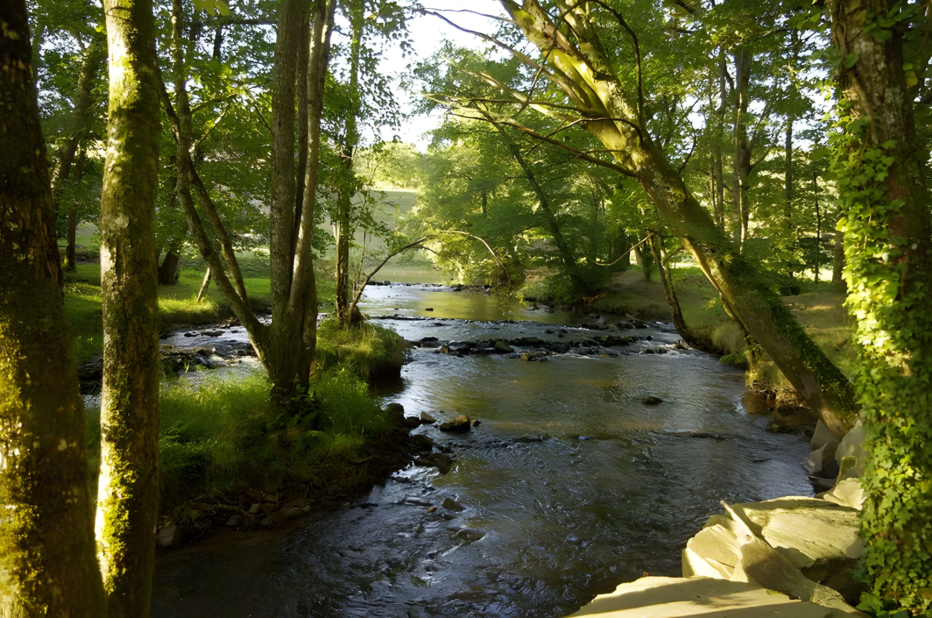 Pont dit Pont de la Tour sur la rivière de l'Isle (également sur communes de Saint-Yrieix-la-Perche et Le Chalard, dans la Haute-Vienne)