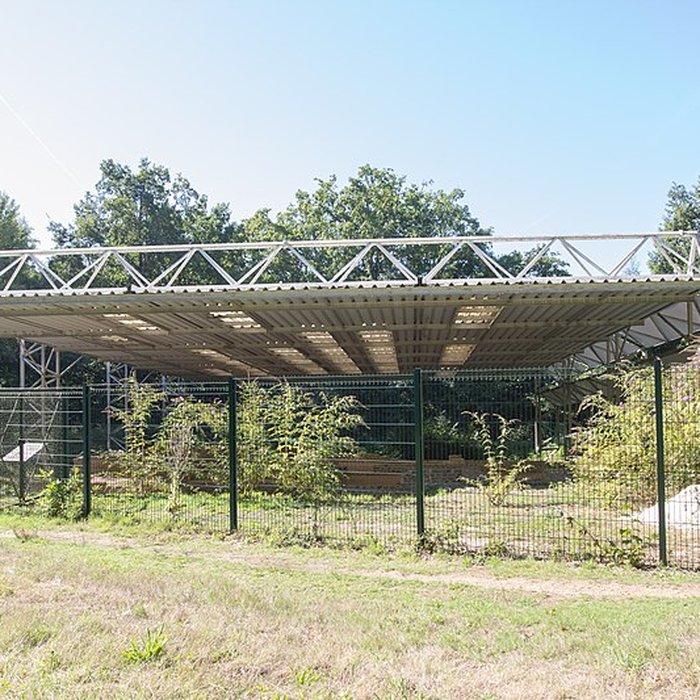 Photo de Substructions gallo-romaines et vestiges de thermes
