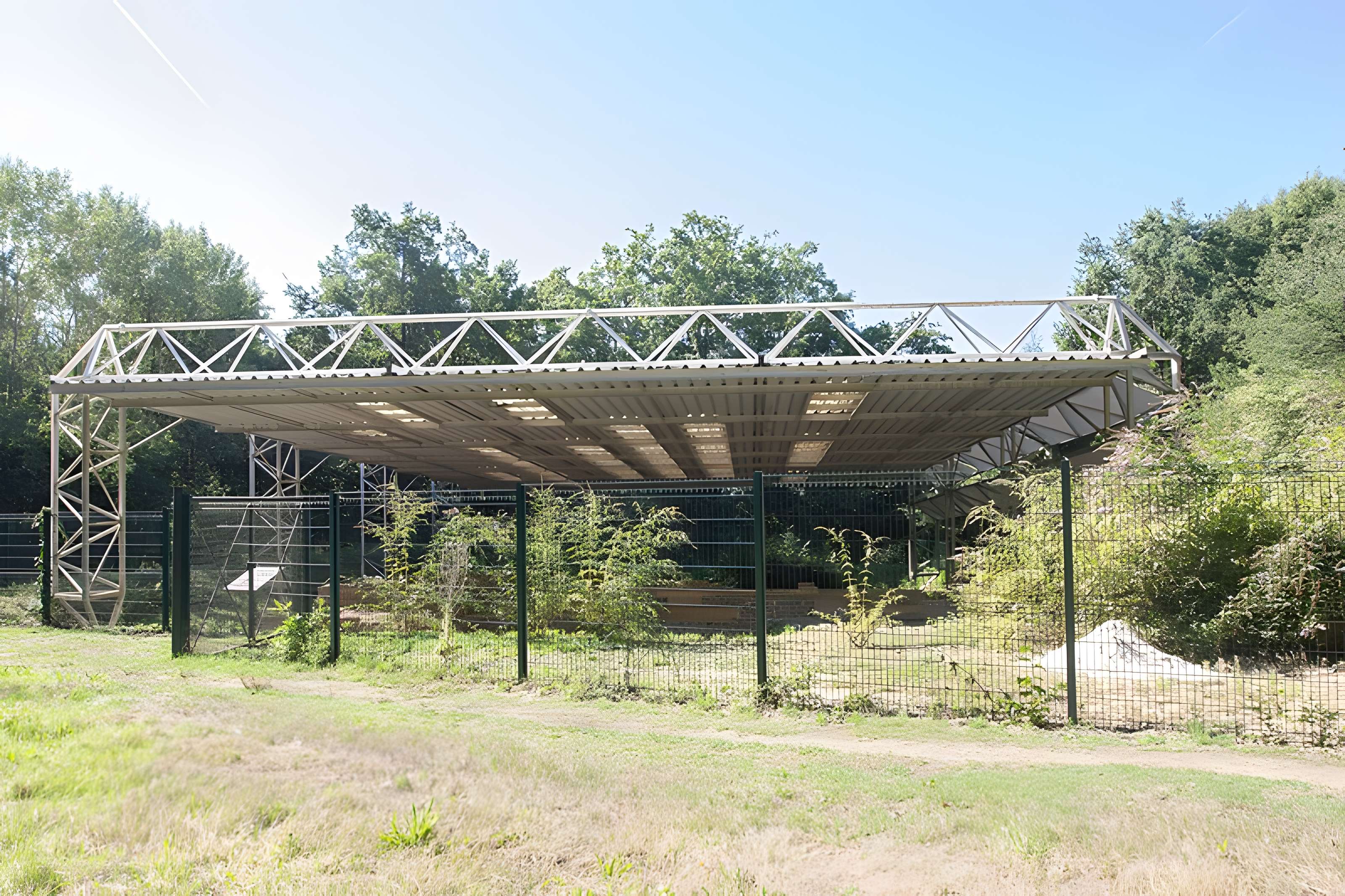 Substructions gallo-romaines et vestiges de thermes