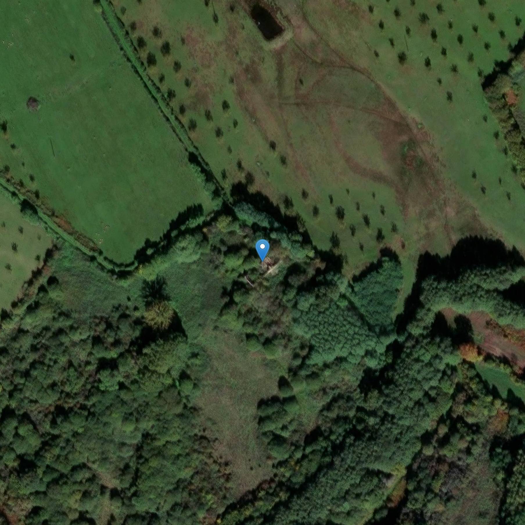 Photo de Maison de la Gourgauderie