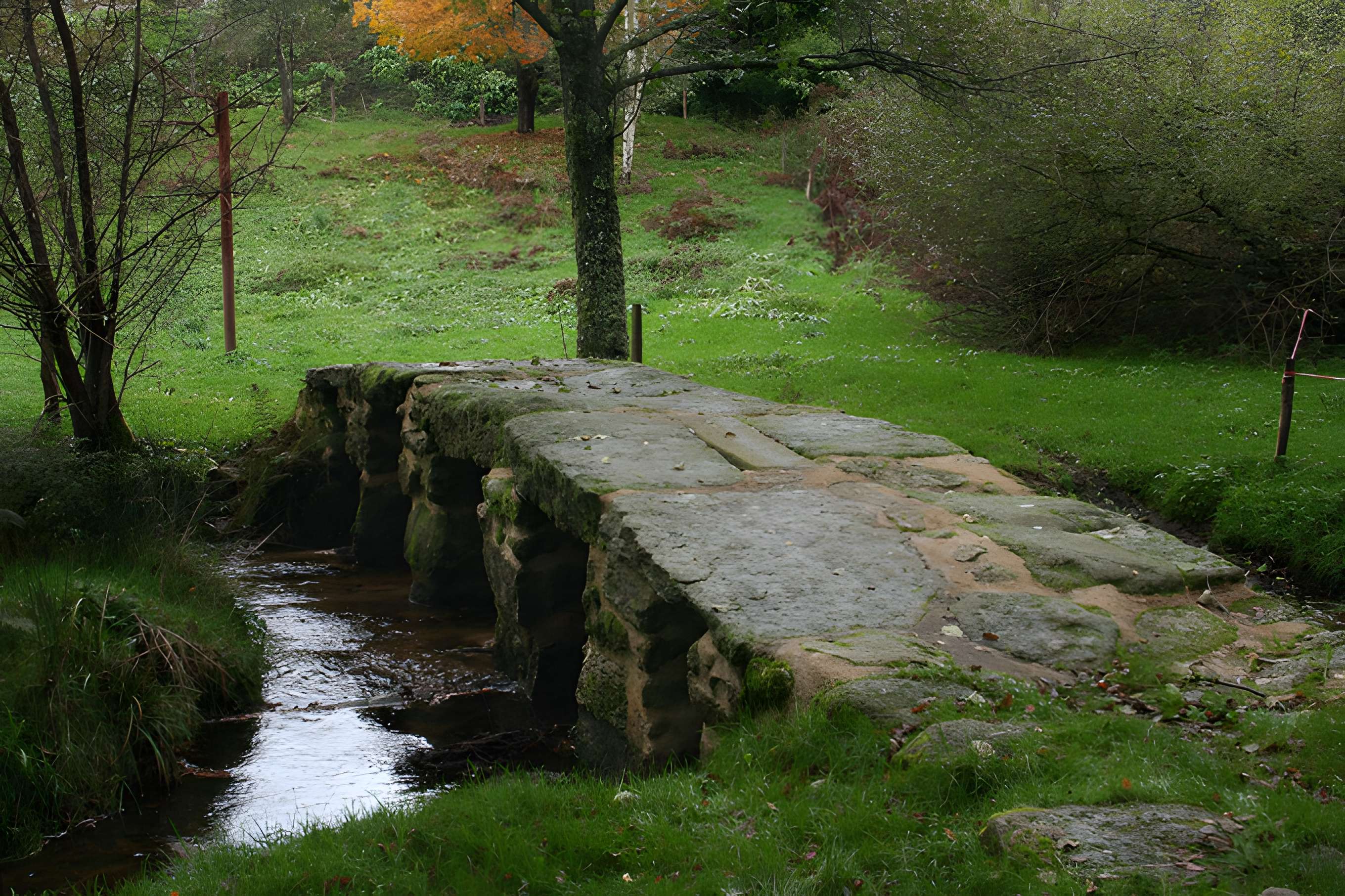 Planche sur la Couze dite Pont romain