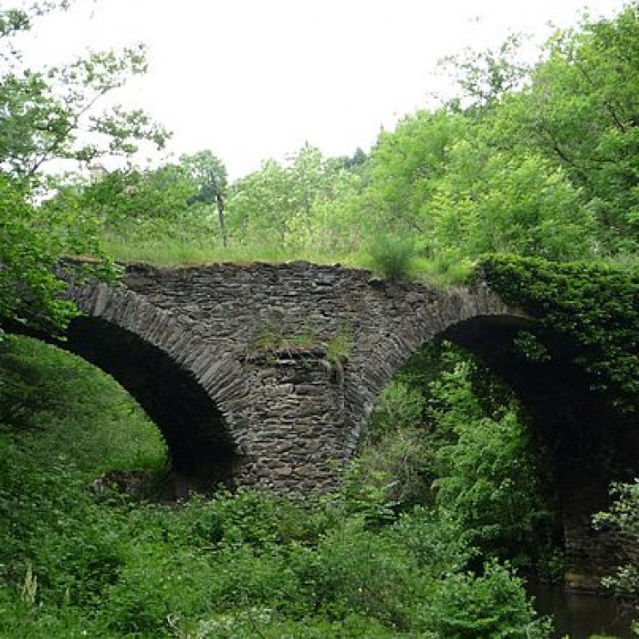 Photo de Pont de Saint-Georges de Camboulas à Pont-de-Salars