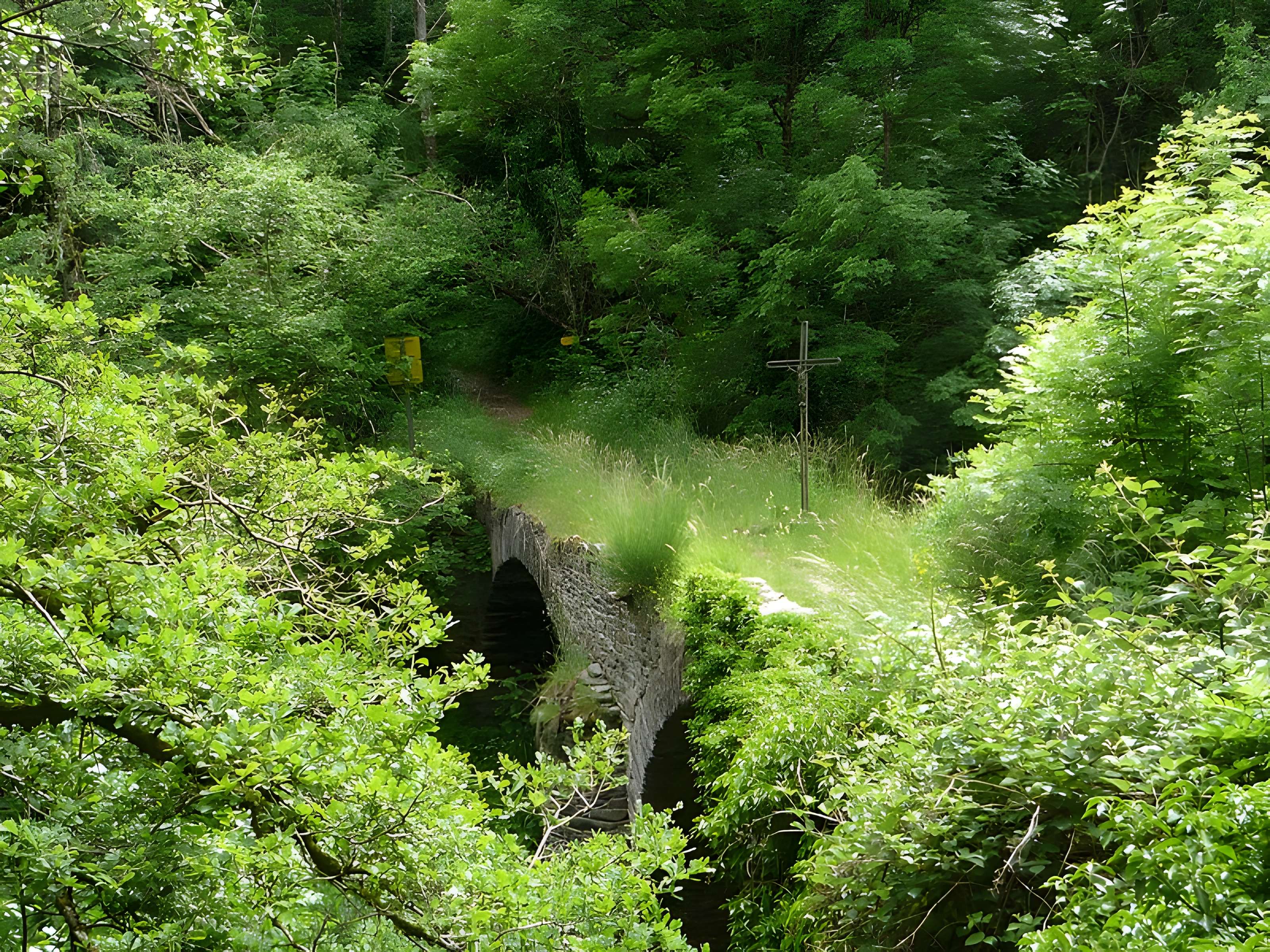 Pont de Saint-Georges de Camboulas à Pont-de-Salars