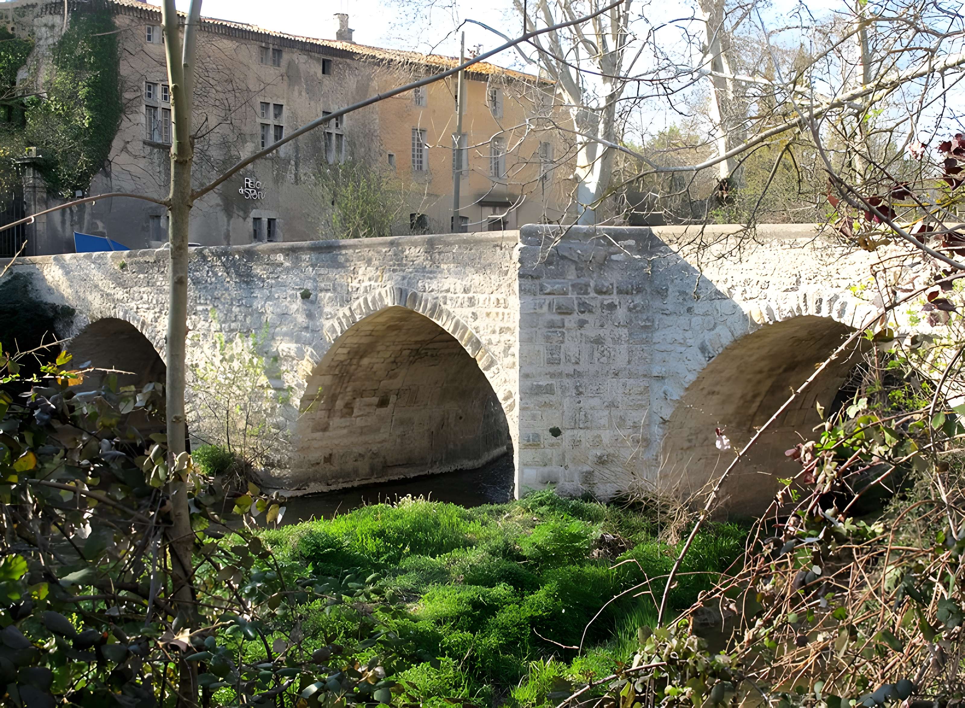 Pont franchissant l'Arc dit Pont de Saint-Pons