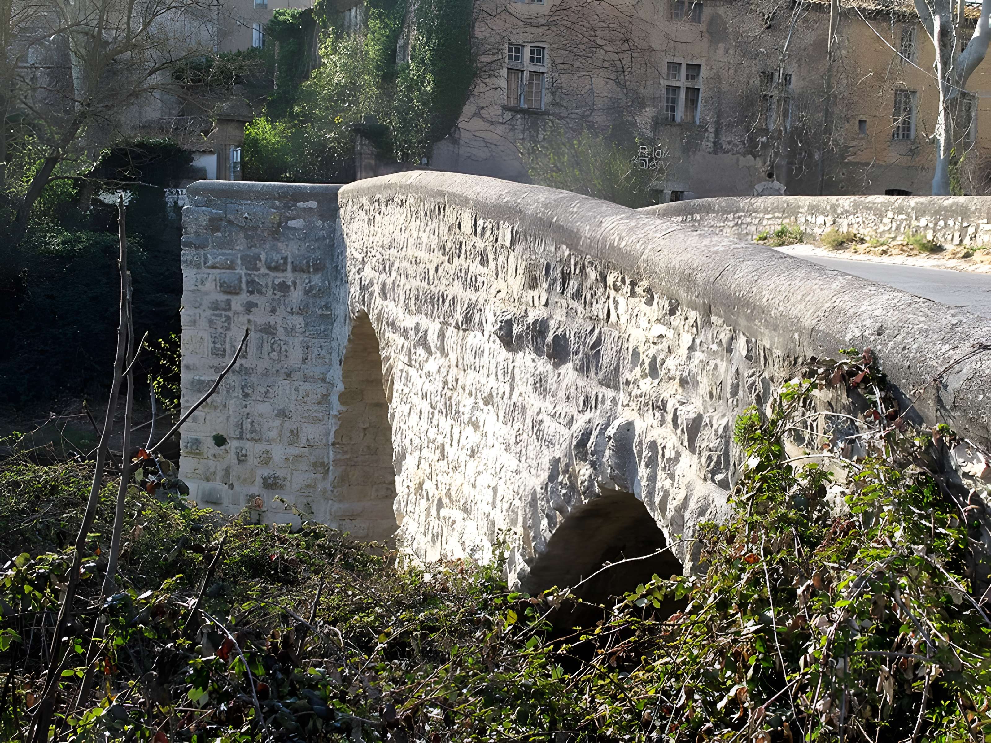 Pont franchissant l'Arc dit Pont de Saint-Pons