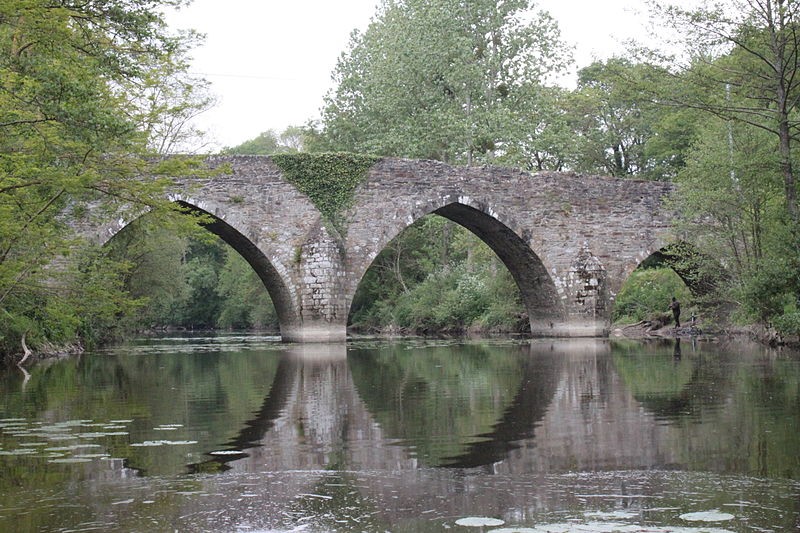 Photo de Pont de Sénard à Saint-Hilaire-de-Loulay