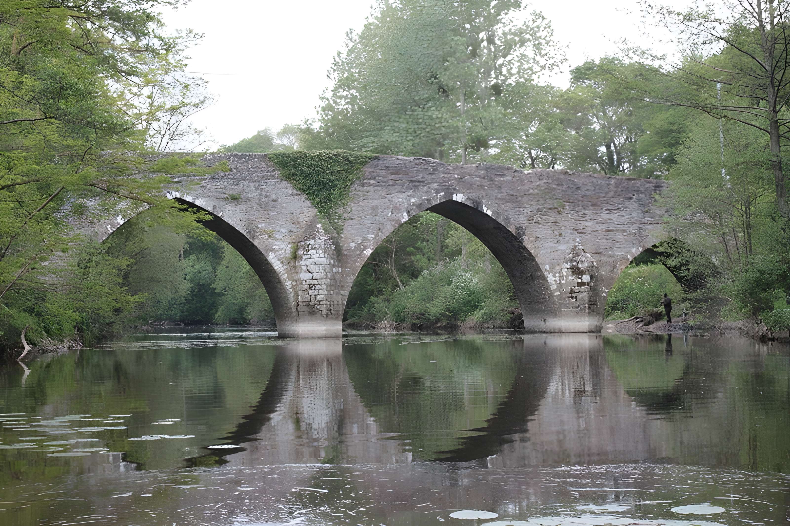 Pont de Sénard à Saint-Hilaire-de-Loulay 