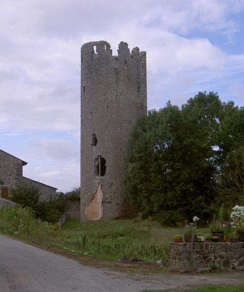 Photo de Château de la Côte-au-Chapt
