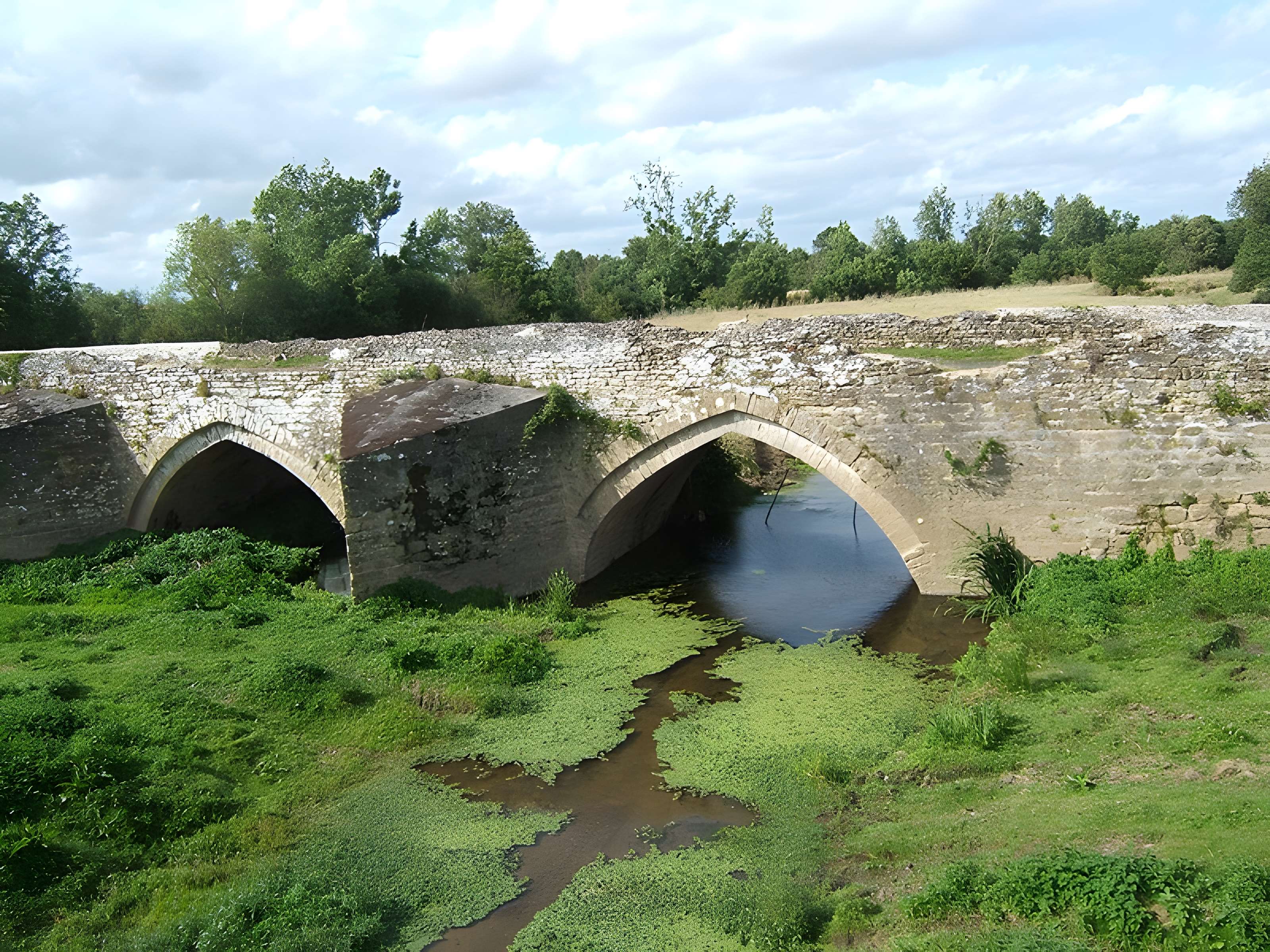 Ancien pont de Taizon (également sur commune de Bagneux et Argenton-l'Eglise)