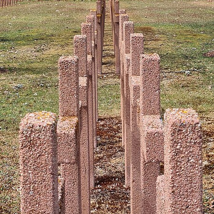 Photo de Nécropole nationale de la Fontenelle