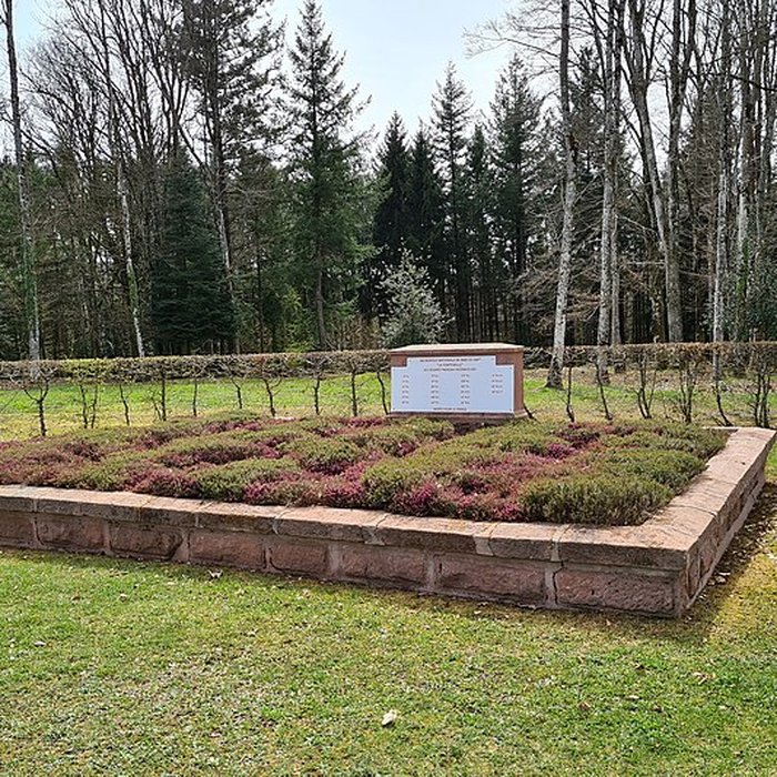 Photo de Nécropole nationale de la Fontenelle