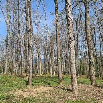 Nécropole nationale de la Fontenelle
