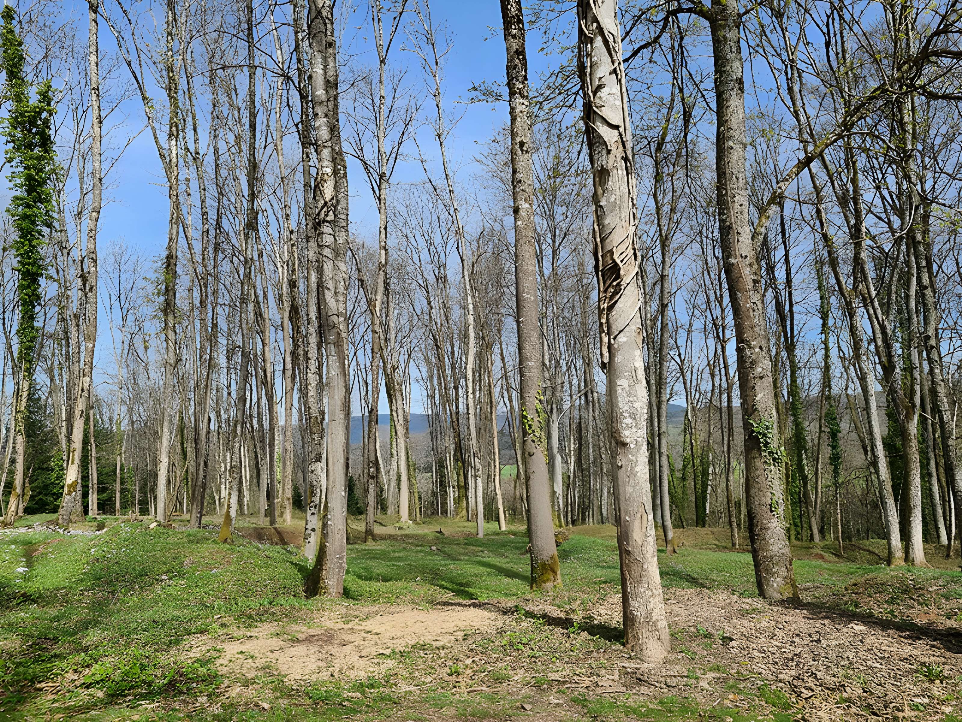 Nécropole nationale de la Fontenelle