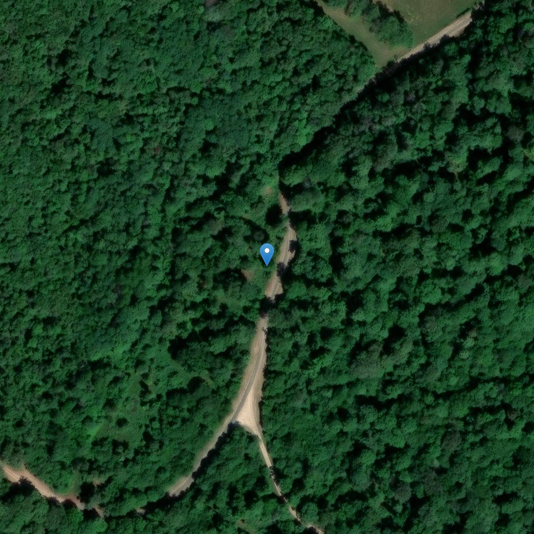 Photo de Drei Boxen unter tumuli du Bois-Saint-Charles