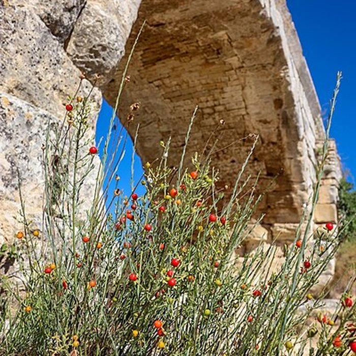 Photo de Pont Julien de Bonnieux