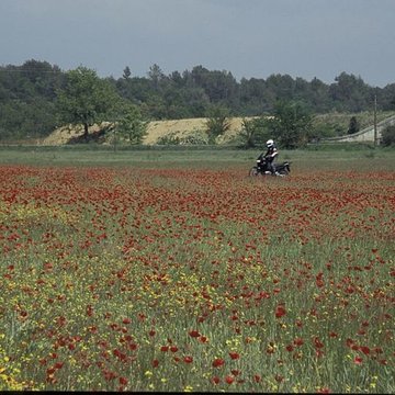 Pont Julien de Bonnieux
