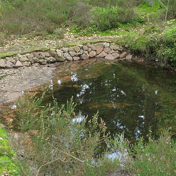 Photo de Camp celtique de la Bure