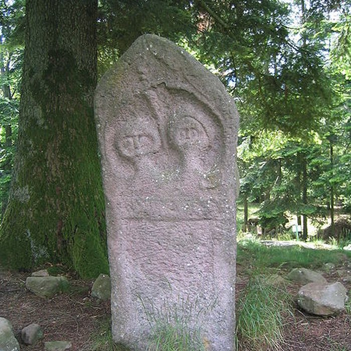 Photo de Camp celtique de la Bure