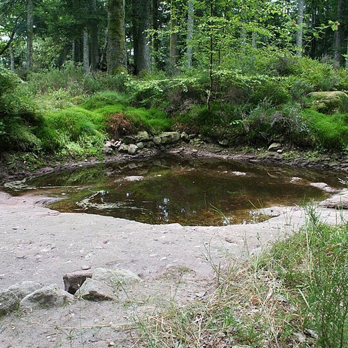 Photo de Camp celtique de la Bure