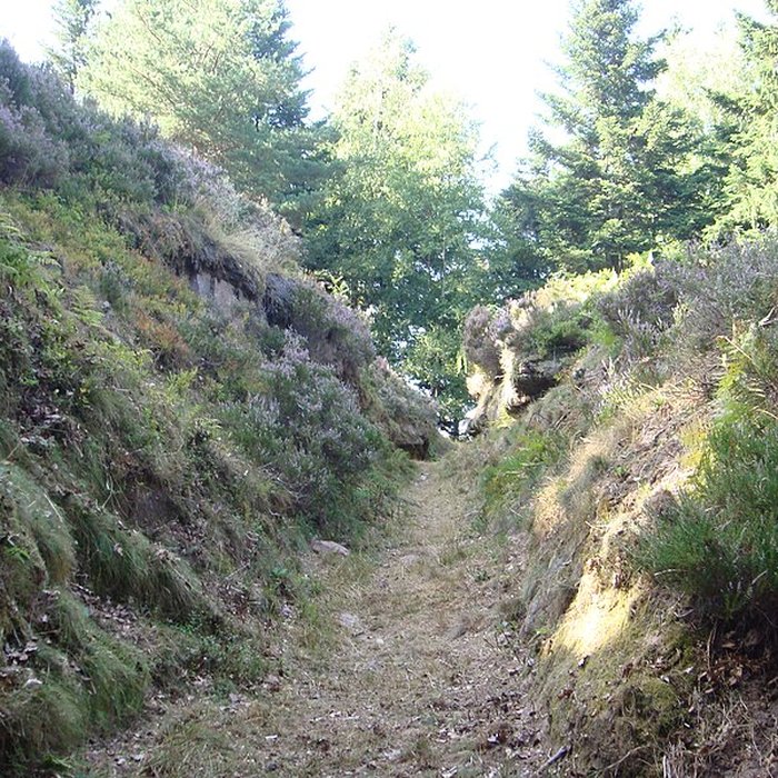 Photo de Camp celtique de la Bure