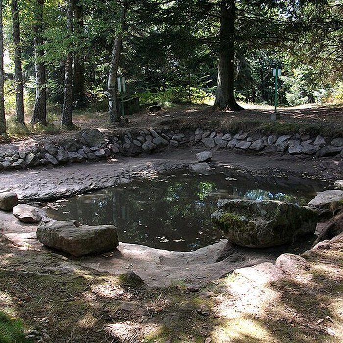 Photo de Camp celtique de la Bure