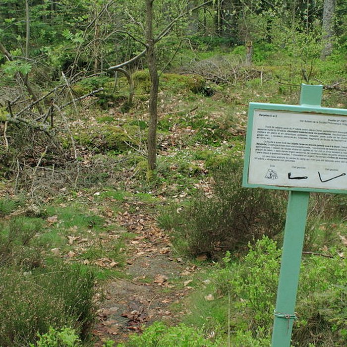 Photo de Camp celtique de la Bure