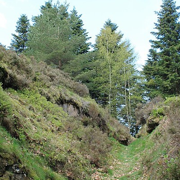 Photo de Camp celtique de la Bure