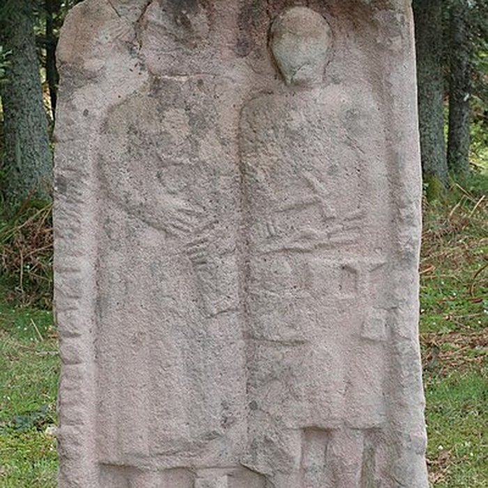 Photo de Camp celtique de la Bure