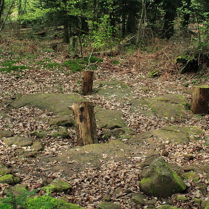 Photo de Camp celtique de la Bure