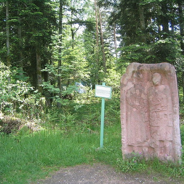 Photo de Camp celtique de la Bure