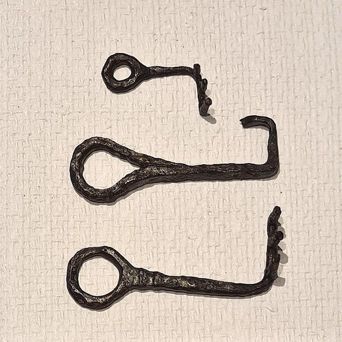 Photo de Camp celtique de la Bure